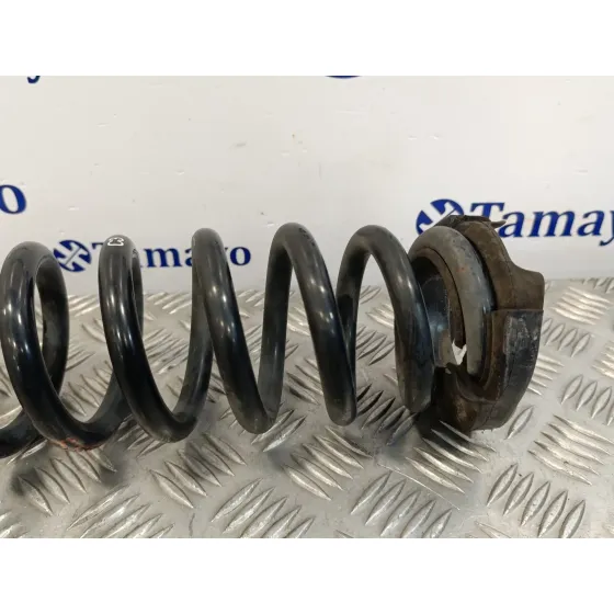 Muelle Amortiguacion para Bmw Serie 3 Berlina (E90)