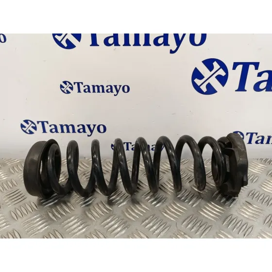 Muelle Amortiguacion para Bmw Serie 3 Berlina (E90)