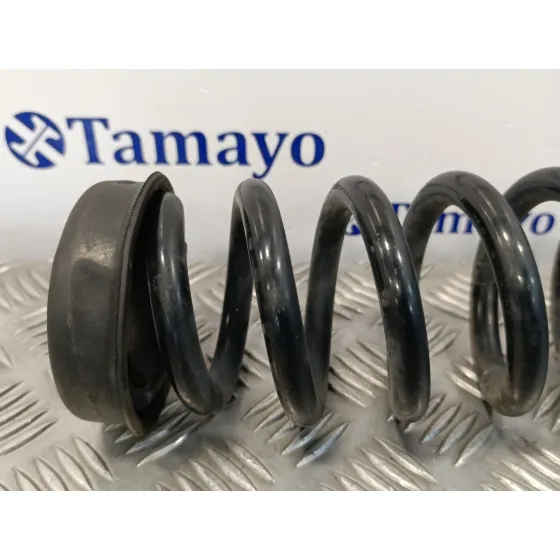 Muelle Amortiguacion para Bmw Serie 3 Berlina (E90)