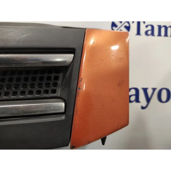 Rejilla Delantera para Fiat Panda (169)