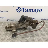 Enfriador Egr para Bmw Serie 3 Berlina (E90)