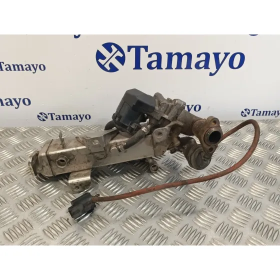 Enfriador Egr para Bmw Serie 3 Berlina (E90)