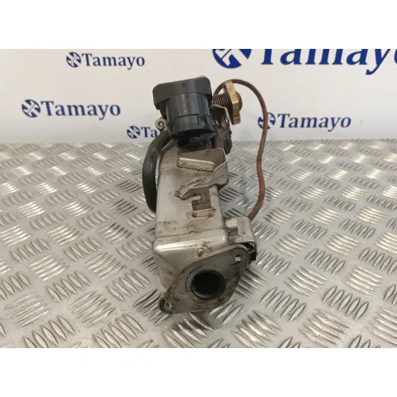 Enfriador Egr para Bmw Serie 3 Berlina (E90)