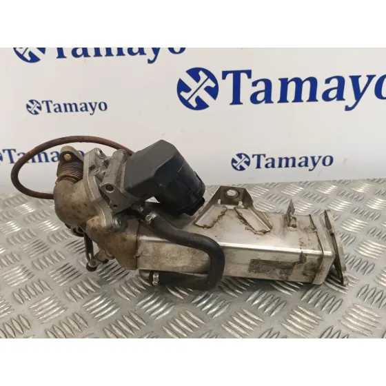 Enfriador Egr para Bmw Serie 3 Berlina (E90)