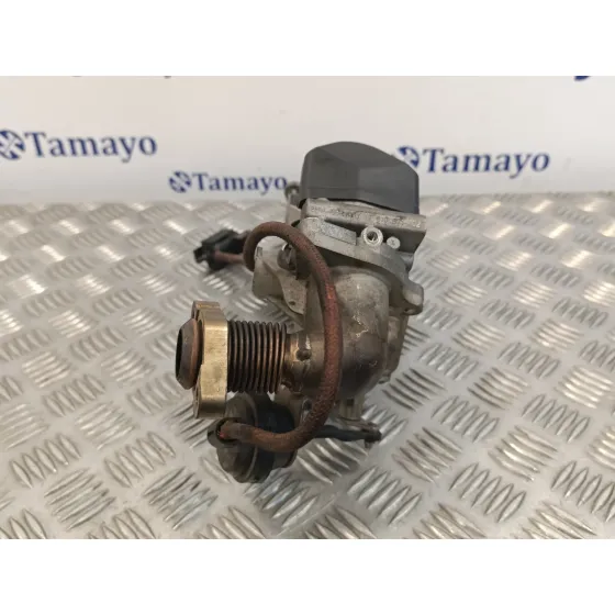 Enfriador Egr para Bmw Serie 3 Berlina (E90)