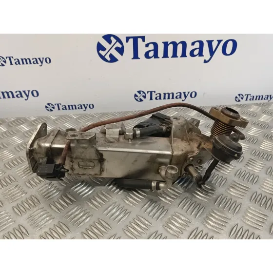 Enfriador Egr para Bmw Serie 3 Berlina (E90)