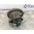 Faro Antiniebla Derecho para Mazda 5 Berl. (Cr)