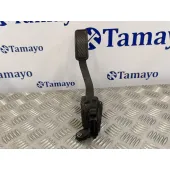 Potenciometro Pedal para Ford Fiesta (Cb1)