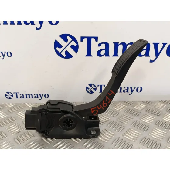 Potenciometro Pedal para Ford Fiesta (Cb1)