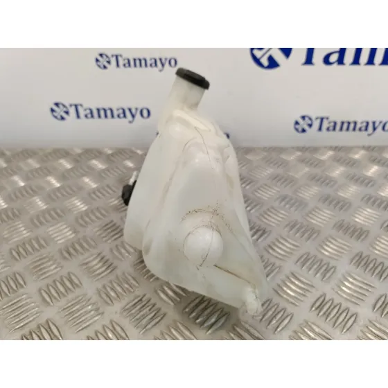 Deposito Limpia para Renault Clio Ii Fase Ii (B/Cb0)