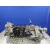 Caja Cambios para Galloper Exceed