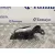 Maneta Interior Delantera Izquierda para Nissan Qashqai (J11)
