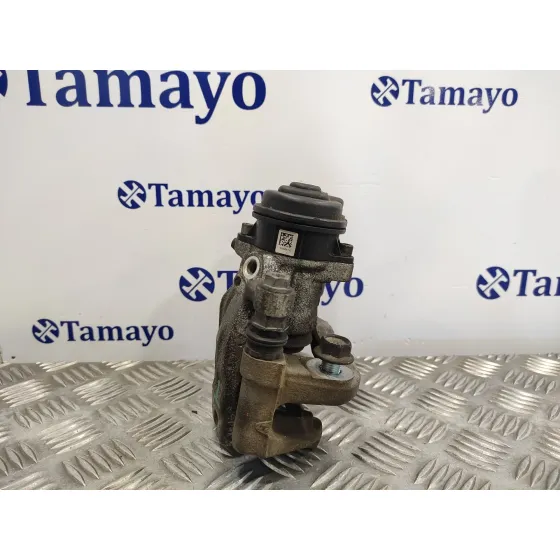 Pinza Freno Trasera Izquierda para Nissan Qashqai (J11)