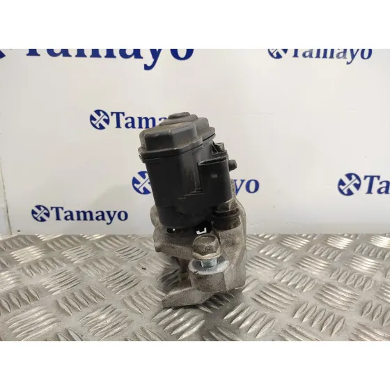 Pinza Freno Trasera Izquierda para Nissan Qashqai (J11)