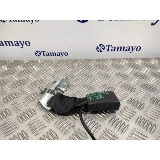Enganche Cinturon Trasero Izquierdo para Nissan Qashqai (J11)