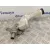 Bomba Freno para Nissan Qashqai (J11)