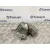Soporte Motor para Fiat Panda (169)