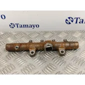 Rampa Inyectora para Renault Scenic Ii