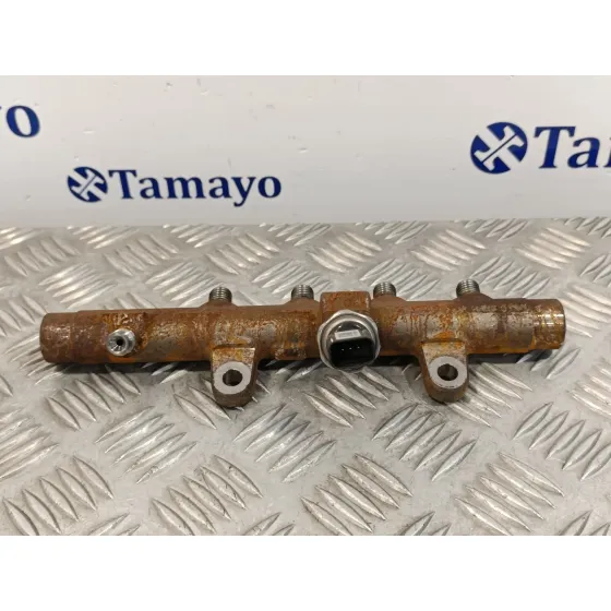 Rampa Inyectora para Renault Scenic Ii