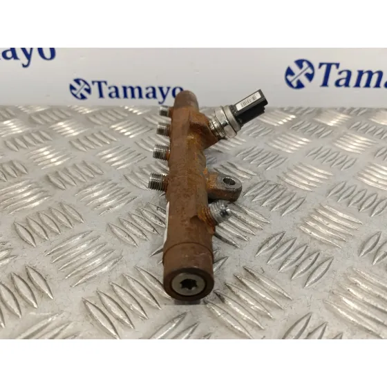 Rampa Inyectora para Renault Scenic Ii