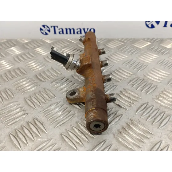 Rampa Inyectora para Renault Scenic Ii