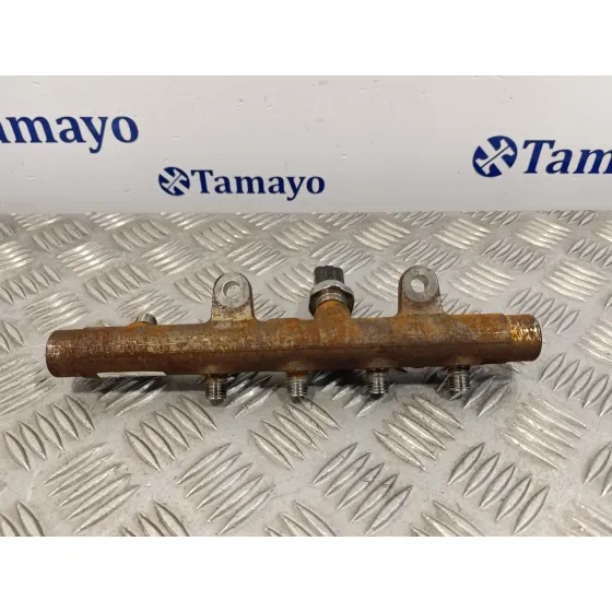 Rampa Inyectora para Renault Scenic Ii