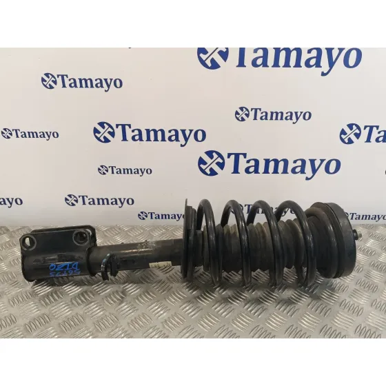 Amortiguador Delantero Izquierdo para Bmw X5 (E53)