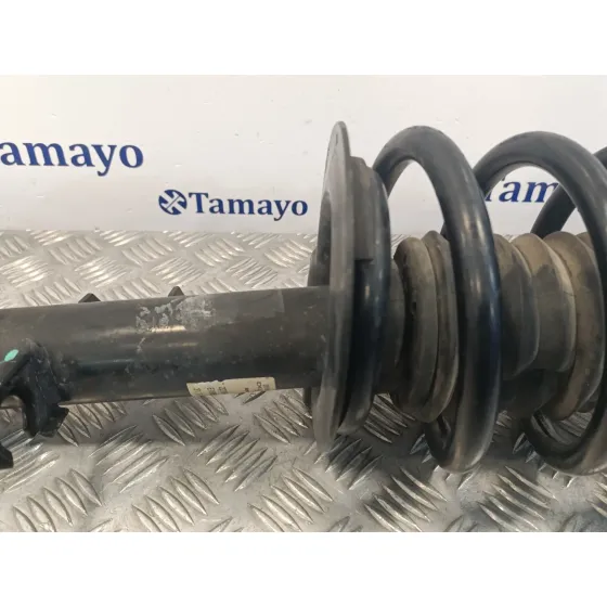 Amortiguador Delantero Izquierdo para Bmw X5 (E53)