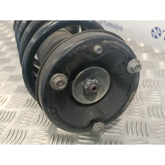 Amortiguador Delantero Izquierdo para Bmw X5 (E53)