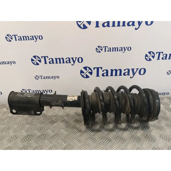 Amortiguador Delantero Izquierdo para Bmw X5 (E53)