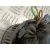 Motor Calefaccion para Bmw X5 (E53)
