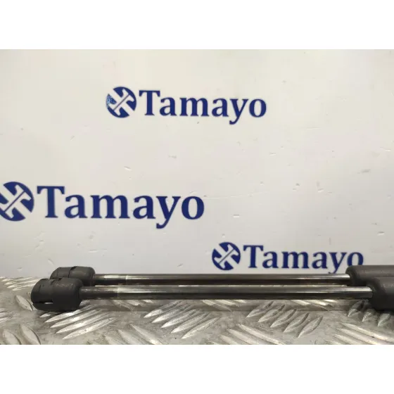 Amortiguadores Maletero / Porton para Seat Leon (1P1)