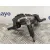 Motor Limpia Trasero para Volkswagen Golf Plus (5M1)
