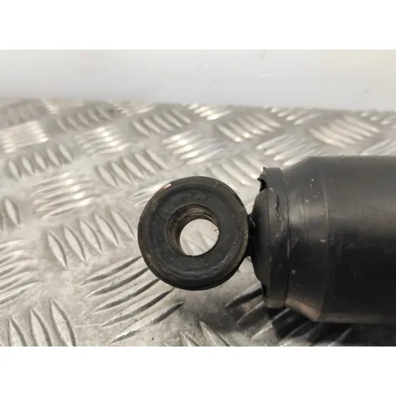 Amortiguador Trasero Izquierdo para Nissan Terrano/Terrano.ii (R20)