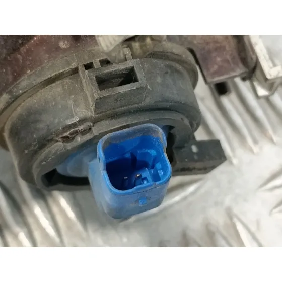 Faro Antiniebla Derecho para Citroën Xsara Picasso