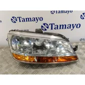 Faro Derecho para Fiat Idea (135)
