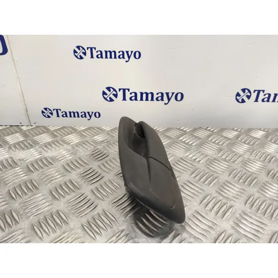 Maneta Exterior Delantera Derecha para Renault Trafic Caja Cerrada (Ab 4.01)