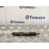 Inyector para Land Rover Freelander (Ln)