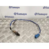 Sonda Lambda para Ford C-Max