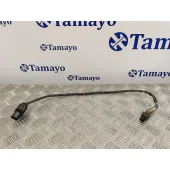 Sonda Lambda para Ford C-Max