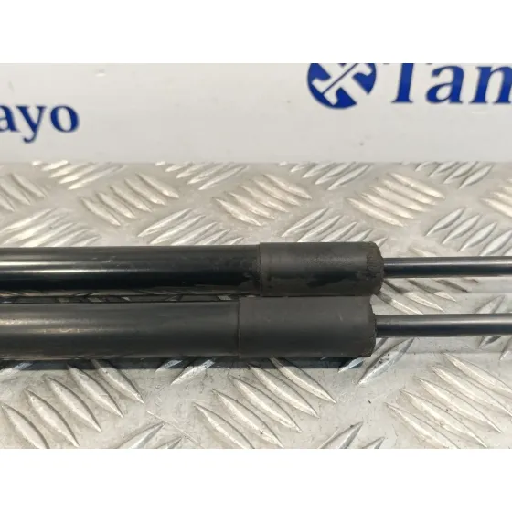 Amortiguadores Maletero / Porton para Citroën C4 Picasso