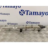 Rampa Inyectora para Hyundai Santa Fe (Sm)