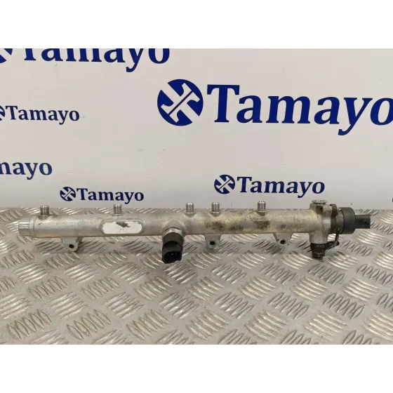 Rampa Inyectora para Hyundai Santa Fe (Sm)