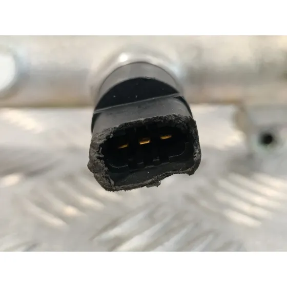 Rampa Inyectora para Hyundai Santa Fe (Sm)