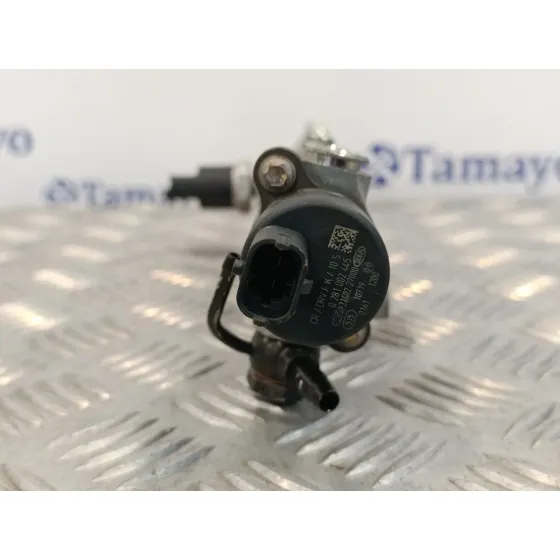 Rampa Inyectora para Hyundai Santa Fe (Sm)