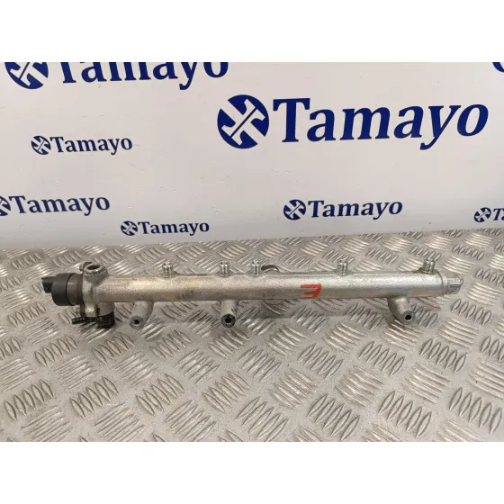 Rampa Inyectora para Hyundai Santa Fe (Sm)