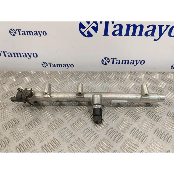 Rampa Inyectora para Hyundai Santa Fe (Sm)