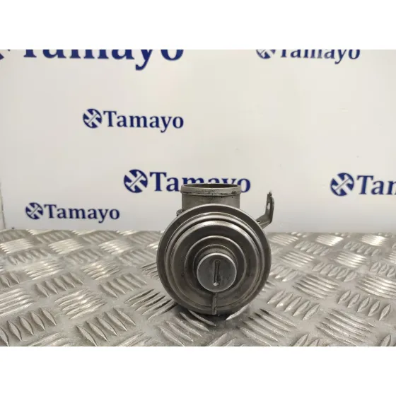 Valvula Egr para Bmw Serie 3 Berlina (E46)