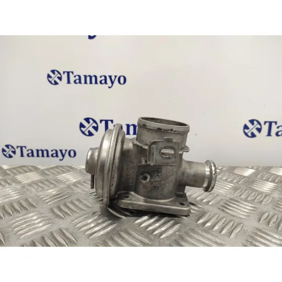 Valvula Egr para Bmw Serie 3 Berlina (E46)