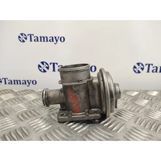Valvula Egr para Bmw Serie 3 Berlina (E46)